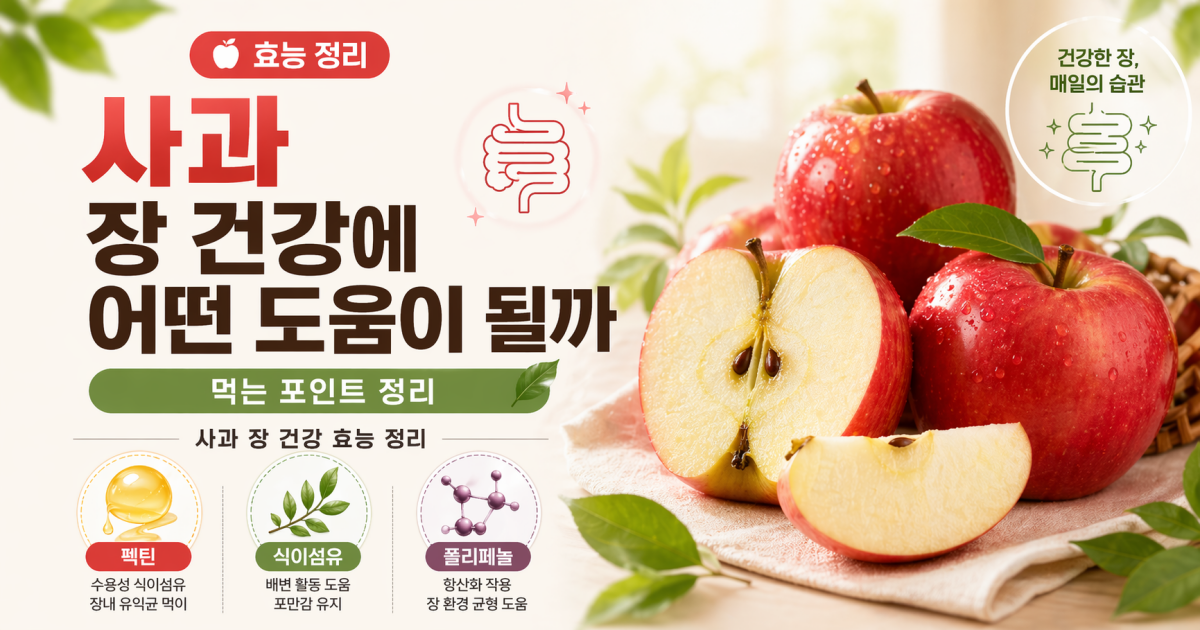 사과 장 건강에 어떤 도움이 될까 먹는 포인트 정리