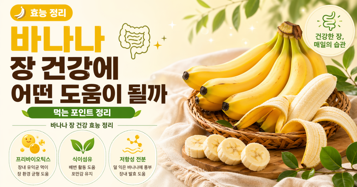 바나나 장 건강에 어떤 도움이 될까 먹는 포인트 정리
