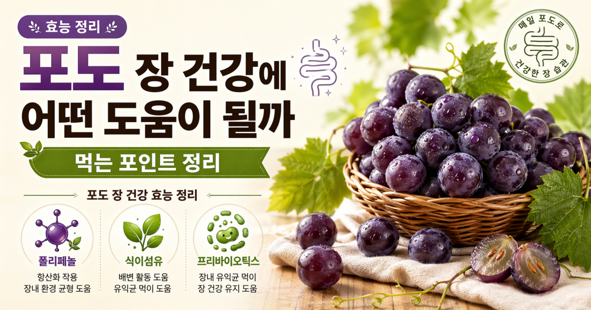 포도 장 건강에 어떤 도움이 될까 먹는 포인트 정리